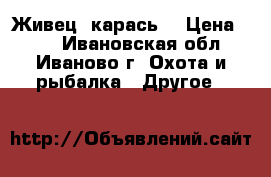 Живец (карась) › Цена ­ 10 - Ивановская обл., Иваново г. Охота и рыбалка » Другое   